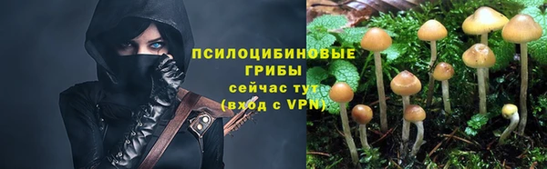 спиды Инсар