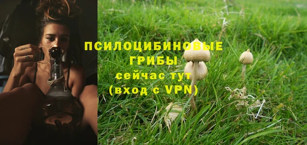 кокс Инта