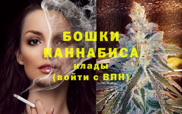 спиды Инсар