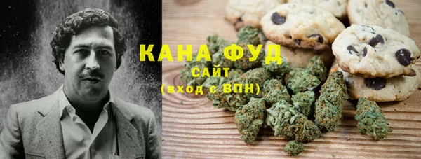 спиды Инсар