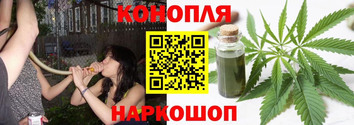 Шишки марихуана марихуана Сарапул